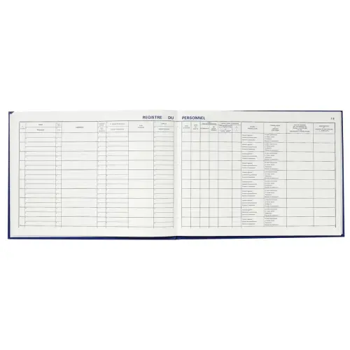 REG.DU PERSONNEL PIQURE 96 PAGES 240X322 
