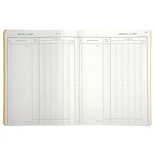 Piqûre Trésorerie verticale - 31,5 x 24,5 cm - 6 colonnes débit / 6 crédit - 80 pages - Exacompta