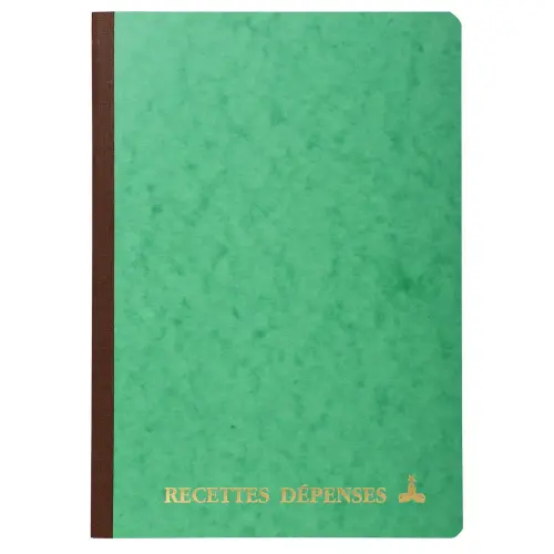 PIQURE RECETTES DEPENSES 29,7X21