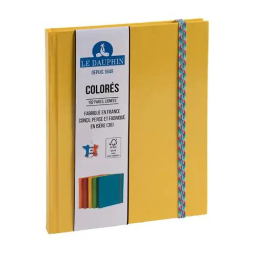 REG IDERAMA 220x170 192P LIGNE JAUNE FSC®