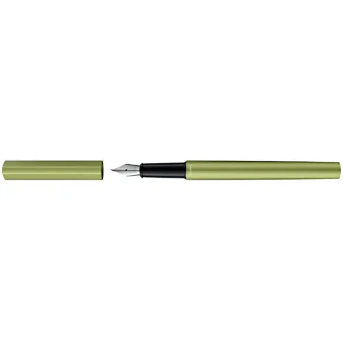 Pelikan Stylo plume Ineo Elements, Green Oasis 
