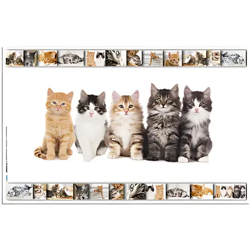 HERMA Sous-main 'Chats', (L)550 x (H)350 mm