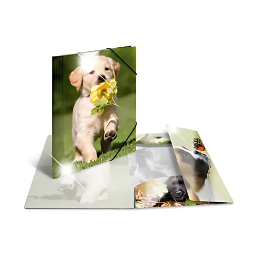 Chemise &agrave; &eacute;lastiques Chevaux - PP Glossy - A4 - Herma 