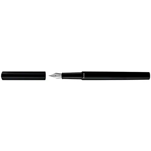 Pelikan Stylo plume Ineo Elements, Black Rock 
