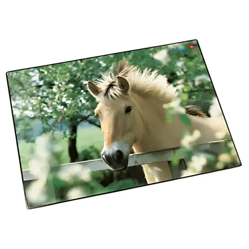 L&auml;ufer Sous-main cheval &agrave; la cl&ocirc;ture, 400 x 530 mm 