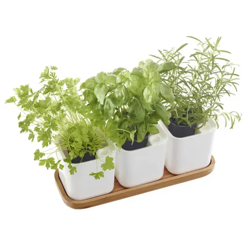 Pot à herbes aromatiques EDEN, set de 3, blanc - Orthex