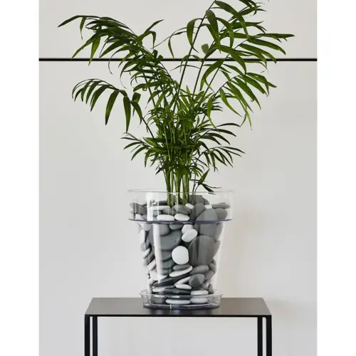 Pot de fleurs Porto 16, transparent - Tera