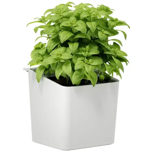 Pot pour herbes aromatiques, blanc - Tesa