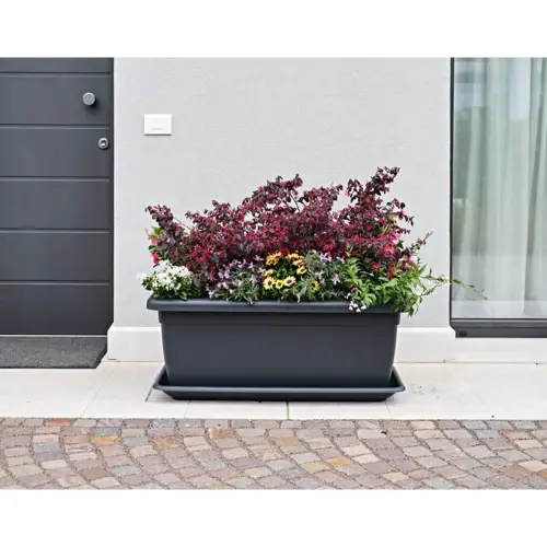 Jardinière 'Tikal', largeur: 620 mm, anthracite - Tera
