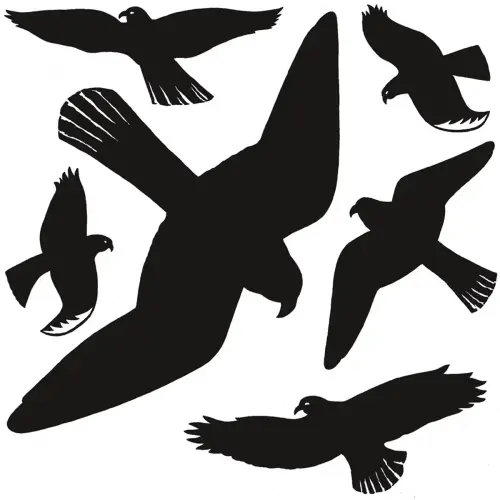 Oiseaux de vitres - film - r&eacute;sistant aux - Herma 