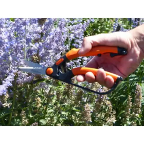Cisaille &agrave; buis, petit, longueur : 260 mm - Garten Primus 