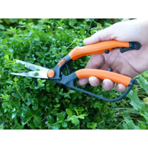 Cisaille &agrave; buis, petit, longueur : 260 mm - Garten Primus 