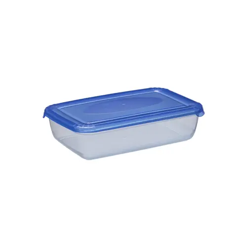 Boîte de congélation Polar, 3 litres, bleu - Plast Team