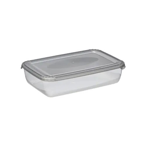 Boîte de congélation Polar, 3 litres, bleu - Plast Team