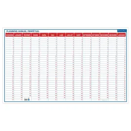 Planning annuel perp&eacute;tuel - 60 x 99 cm - D&eacute;cembre &agrave; janvier - BOUCHUT GRANDREMY 