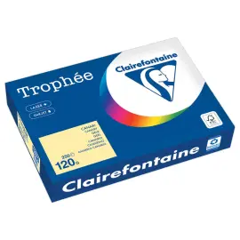 Feuilles de papier Troph&eacute;e A4 - 120g jaune canari - CLAIREFONTAINE 
