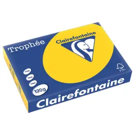 Ramette de 250 feuilles de papier Troph&eacute;e A4 120g bouton d'or 