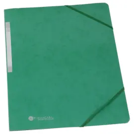 Chemise simple &agrave; &eacute;lastiques en carte - Vert - FIDUCIAL 