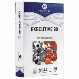 5 Ramettes de 500 feuilles de papier blanc A4 Executive 80g - Fiducial 