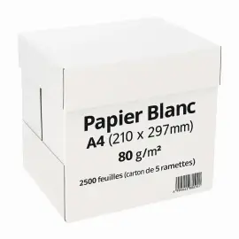 5 ramettes de papier blanc A4 &Eacute;conomique 80g 