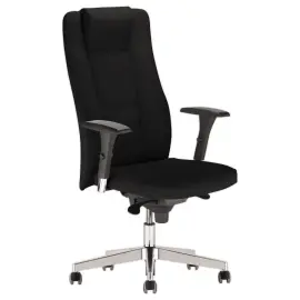 Fauteuil cuir Invitus - Mont&eacute; 