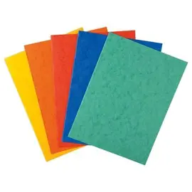 25 Chemises Carte lustr&eacute;e - 225g - assortis - EXACOMPTA 