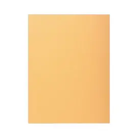 100 Chemises 1 rabat 160 g carte qualit&eacute; sup&eacute;rieure PEFC - couleurs pastel 