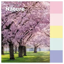 24 Notes Recycl&eacute;es Collection Nature, 38 x 51 mm 