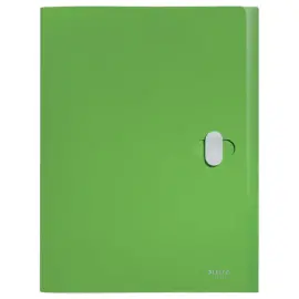 Bo&icirc;te de classement recycl&eacute; - vert - LEITZ 
