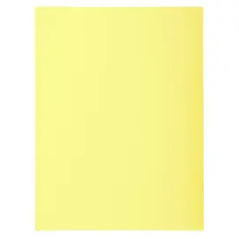 100 Chemises 24 x32 cm "Super 210" Exacompta 