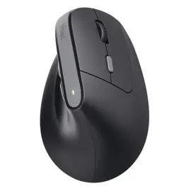 Souris egonomique BAYO II sans fil - Noire 