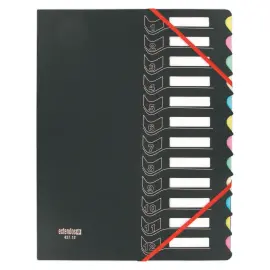 Trieur chemise bi-mati&egrave;re  - 12 compartiments - EXTENDOS 