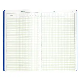 Piq&ucirc;re 40x24cm - Pointage 46 lignes 80 pages - EXACOMPTA 
