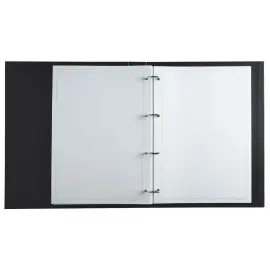 Reliure registre 32x25cm 4 anneaux avec recharge Conseil d'Administration (recharge 5419E) - EXACOMPTA 