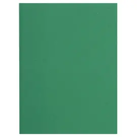 Paquet de 100 chemises FLASH 220 100% recycl&eacute; - 24x32cm - Vert - EXACOMPTA 