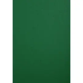 Paquet de 100 couvertures Grain cuir pour reliure A4 - Vert fonc&eacute; - EXACOMPTA 