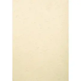 PK 100F FOREVER IVOIRE A3 270G 