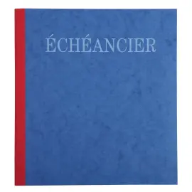 Piq&ucirc;re 21x19cm &eacute;ch&eacute;ancier trac&eacute; journal 80 pages - EXACOMPTA 