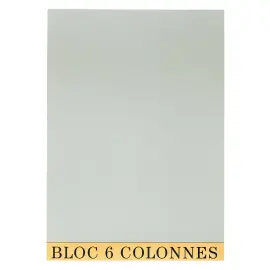 Bloc de contr&ocirc;le comptable 29,7x21cm - 6 colonnes - 70 feuillets - Gris - EXACOMPTA 