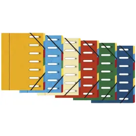 Trieur HARMONIKA&reg; &agrave; fen&ecirc;tres avec &eacute;lastiques Nature Future carte lustr&eacute;e 7 compartiments - Couleurs assorties - Exacompta 