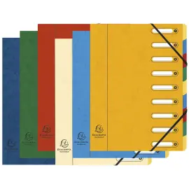 Trieur HARMONIKA&reg; &agrave; fen&ecirc;tres avec &eacute;lastiques Nature Future carte lustr&eacute;e 9 compartiments - Couleurs assorties - Exacompta 
