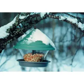 Mangeoire pour oiseaux KATAN, vert - Orthex 