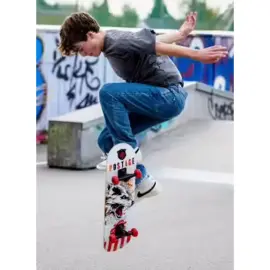 Skateboard 'Grinder 31' Wolf - Schildkr&ouml;t 