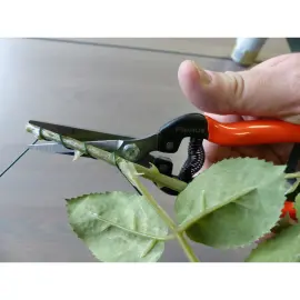 Ciseaux de jardin 'Ciseaux magiques' - Garten Primus 