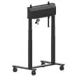 Support universel &agrave; roulettes pour &eacute;cran 55-98" -IIYAMA 