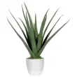 Plante artificielle Aloe vera - H 45 cm