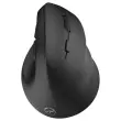 Souris Sans Fil Ergonomique M30W - Triple Connexion - MOBILITY LAB