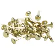 100 Attaches parisiennes 24 mm