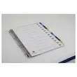 Jeu d'intercalaires mensuels A4 - 12 touches - FIDUCIAL