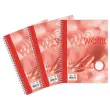 Cahier spirale Work A4, 70g, 200 pages, 5x5